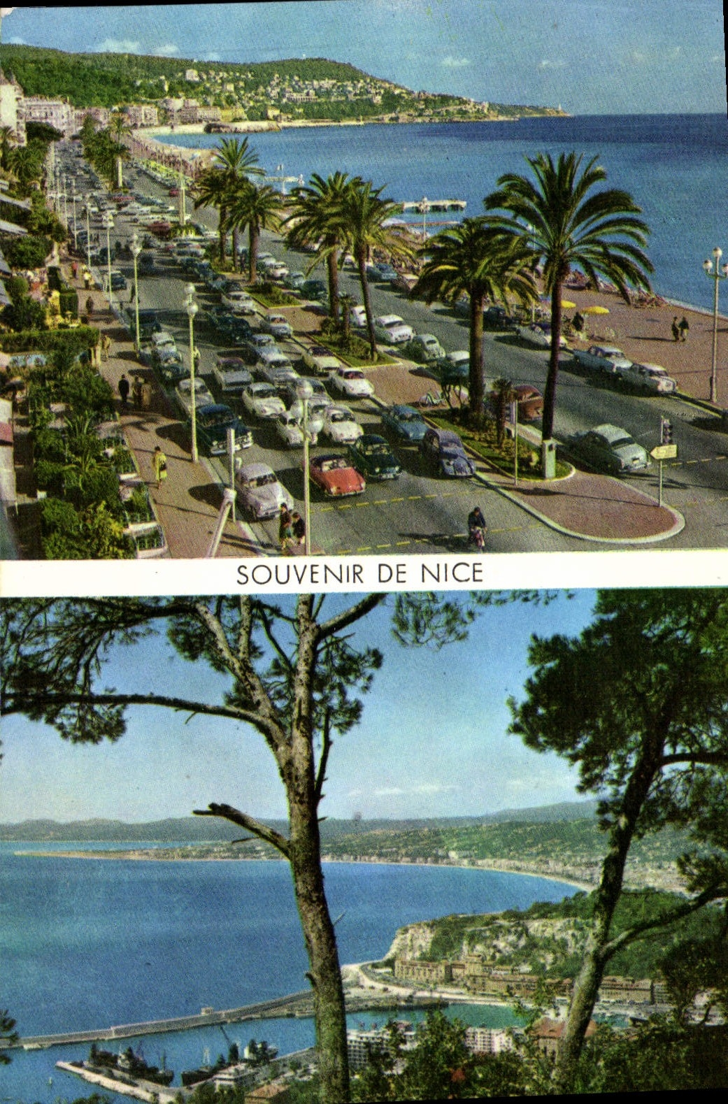 MODERN CARD Nice Souvenir