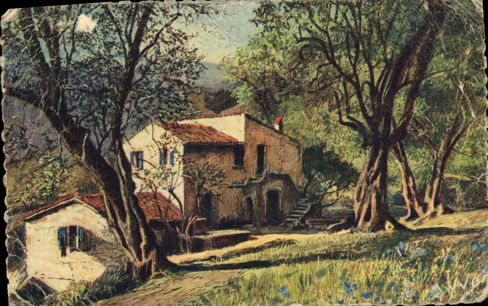 Alrededores azules Niza de las dimensiones de la POSTAL de la VENDIMIA Niza del Mas de Provence en el medio de los aceituna-árboles