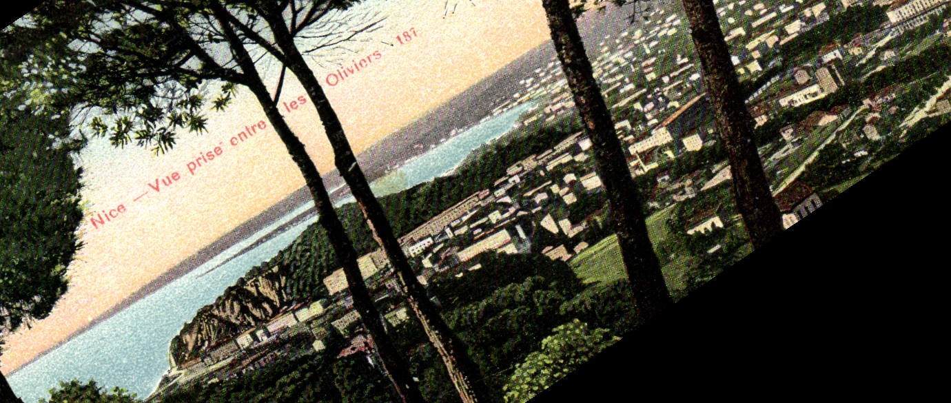 POSTAL de la VENDIMIA Niza vista entre los aceituna-árboles