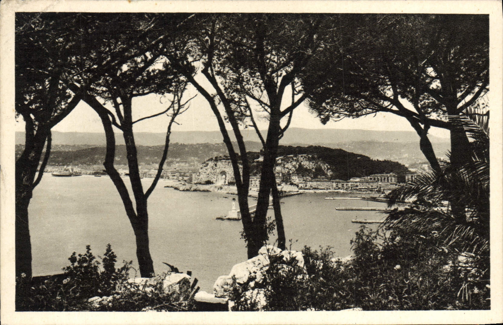 CPA Nice Vue entre les Pins