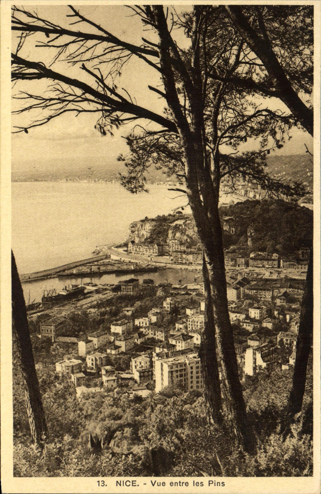 CPA Nice Vue entre les Pins