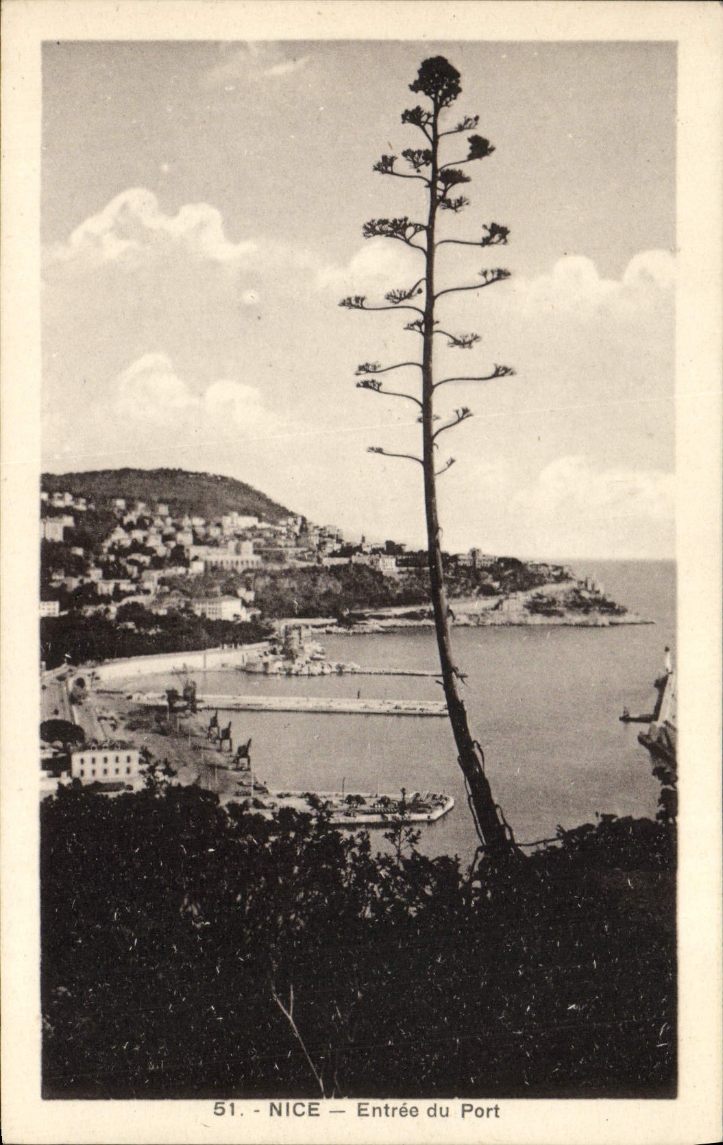 CPA Nice Entree du Port 