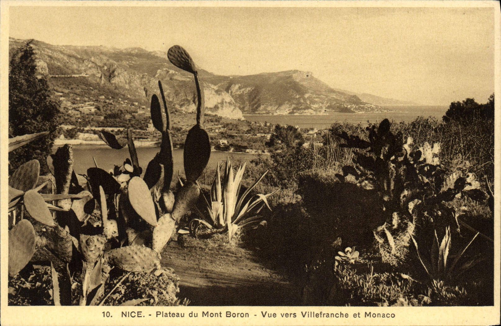 VINTAGE POSTCARD Nice Plate of the Boron Mount Seen towards Villefranche and Monaco
