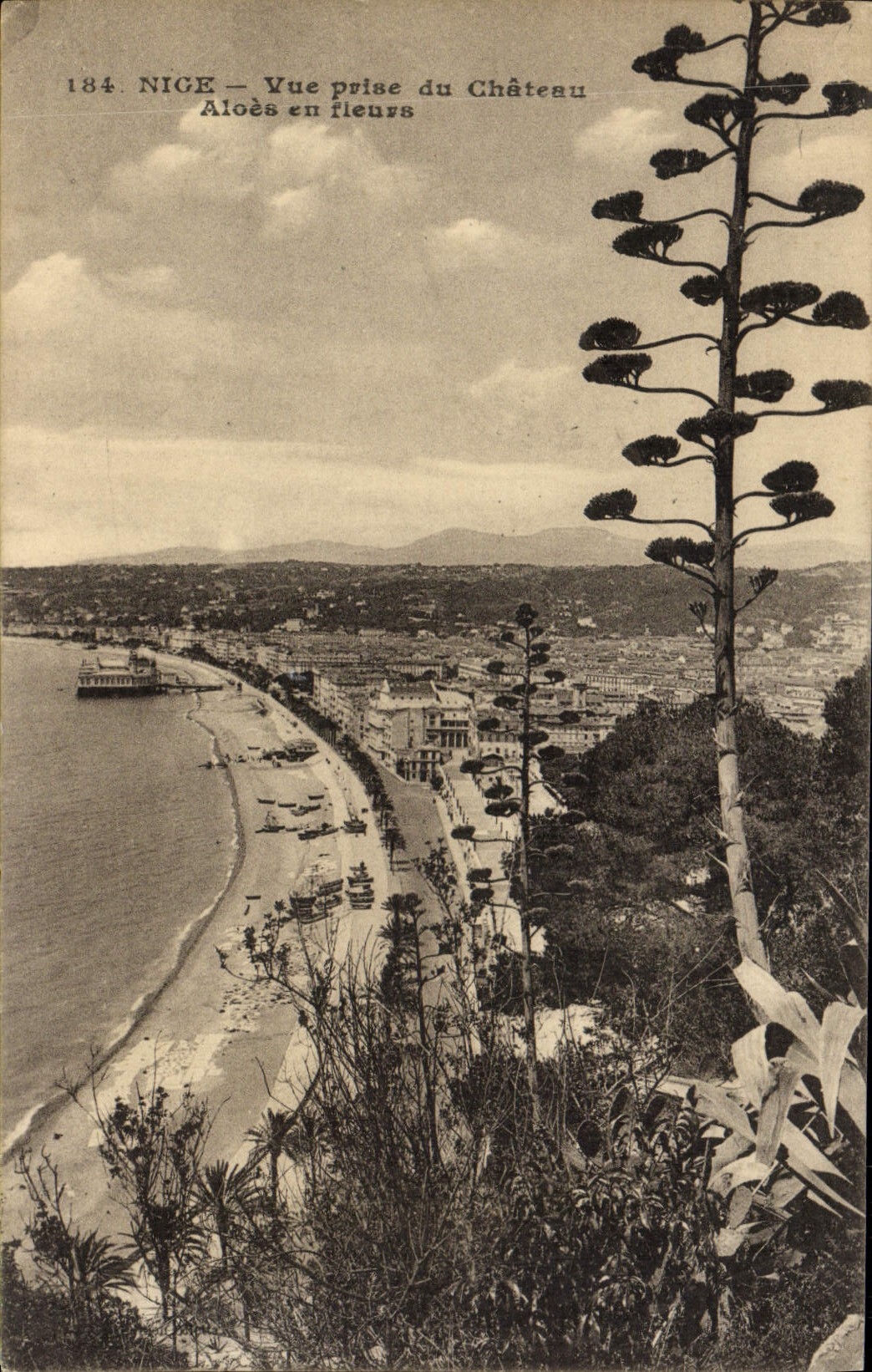 POSTAL de la VENDIMIA Niza vista del áloe del castillo en flores