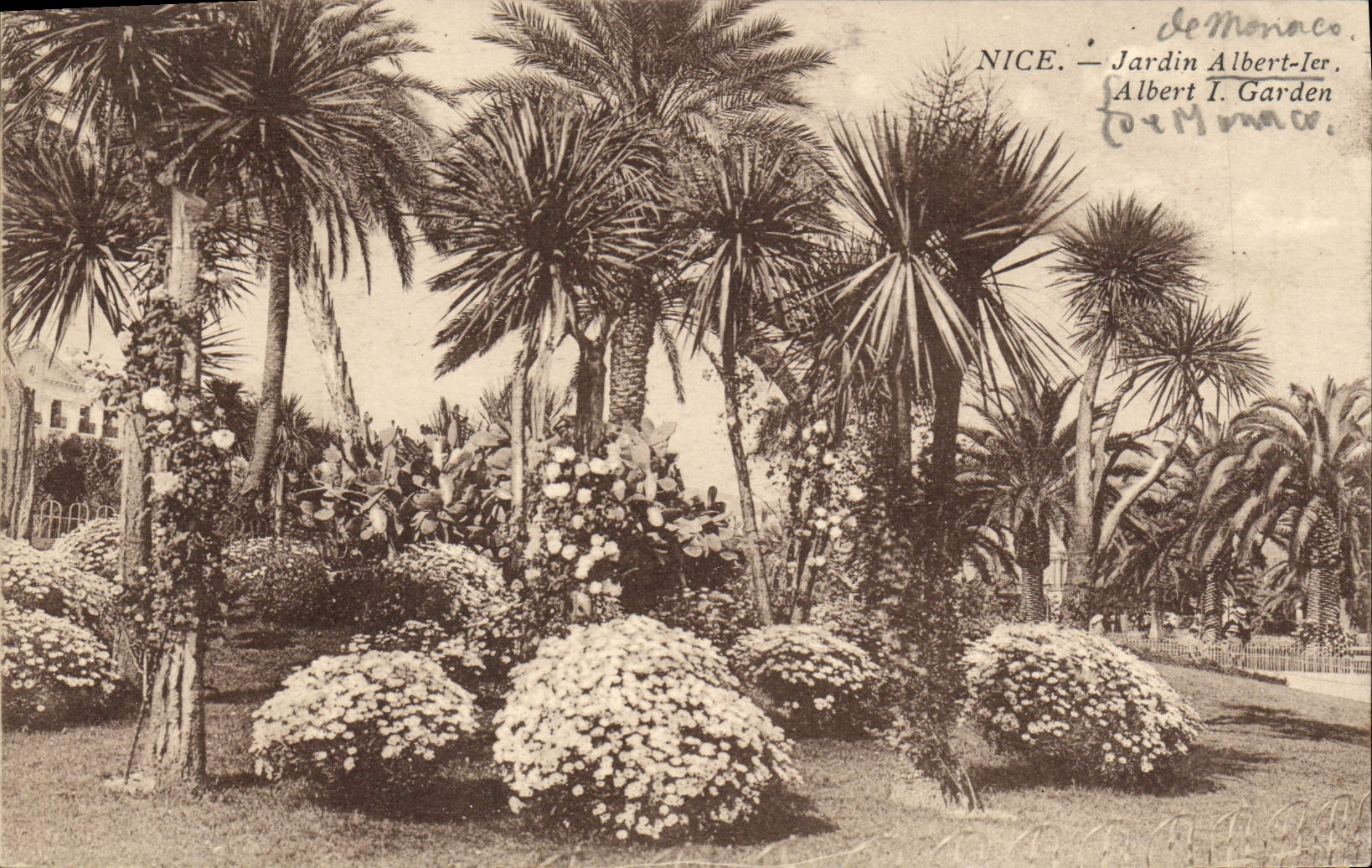 CPA Nice Jardin Albert 1er 