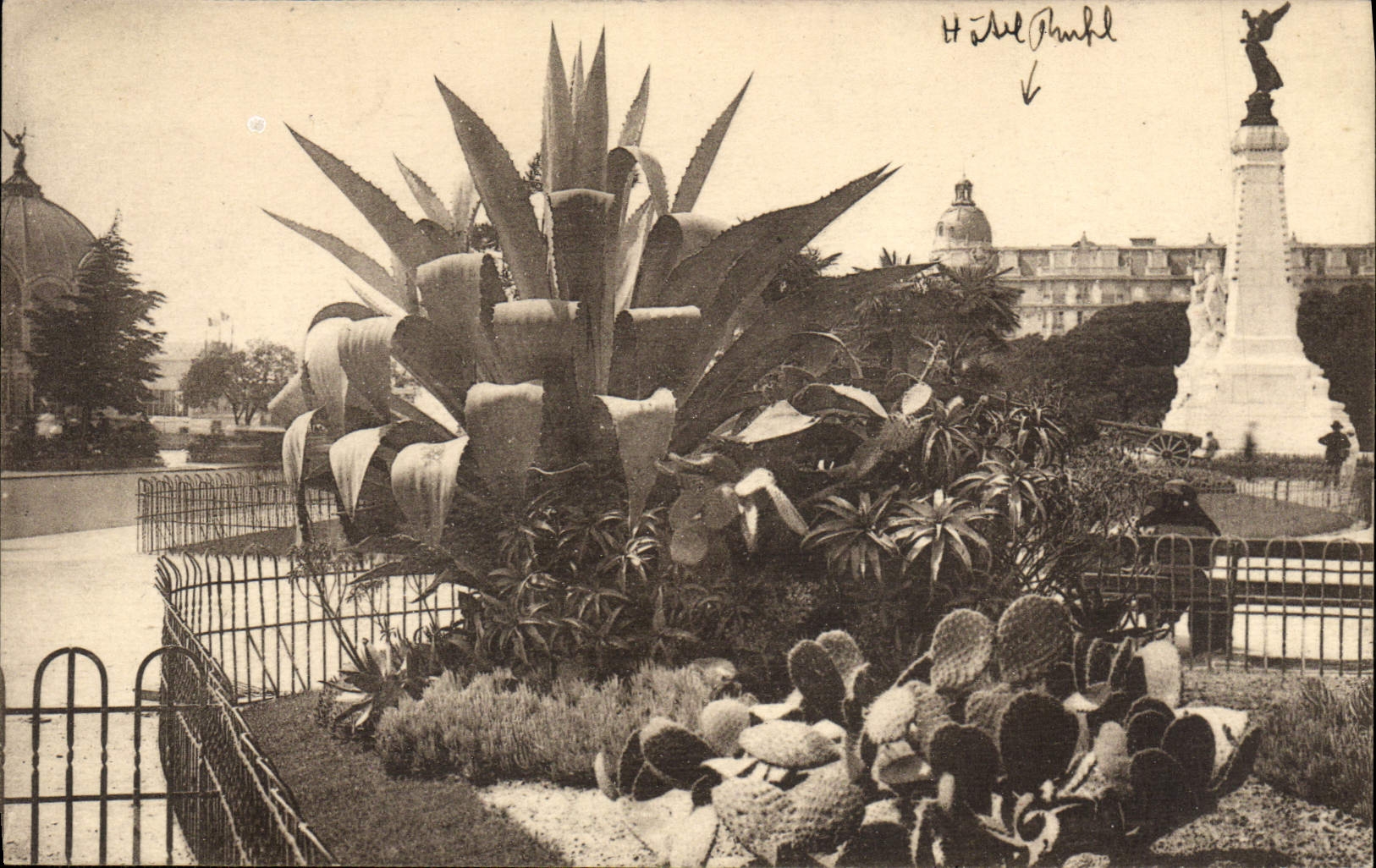 CPA Nice Jardin Albert 1er 