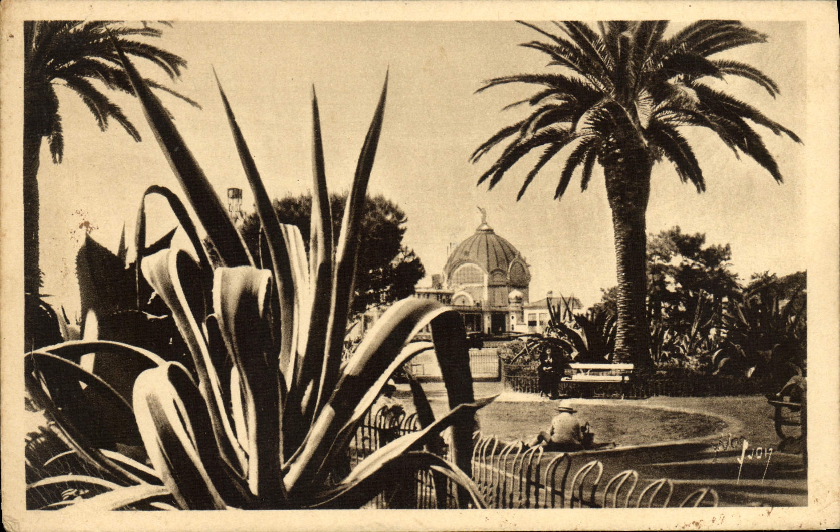 CPA Nice Jardins Albert 1er 