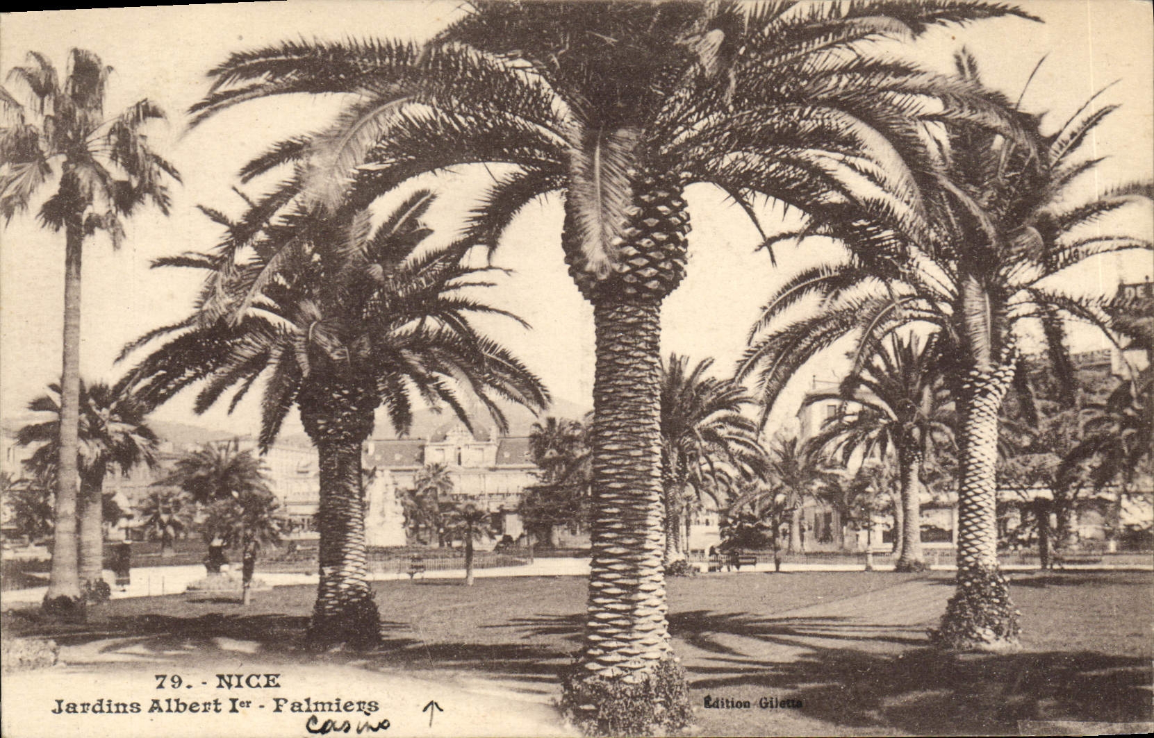 CPA Nice Jardins Albert 1er Palmiers