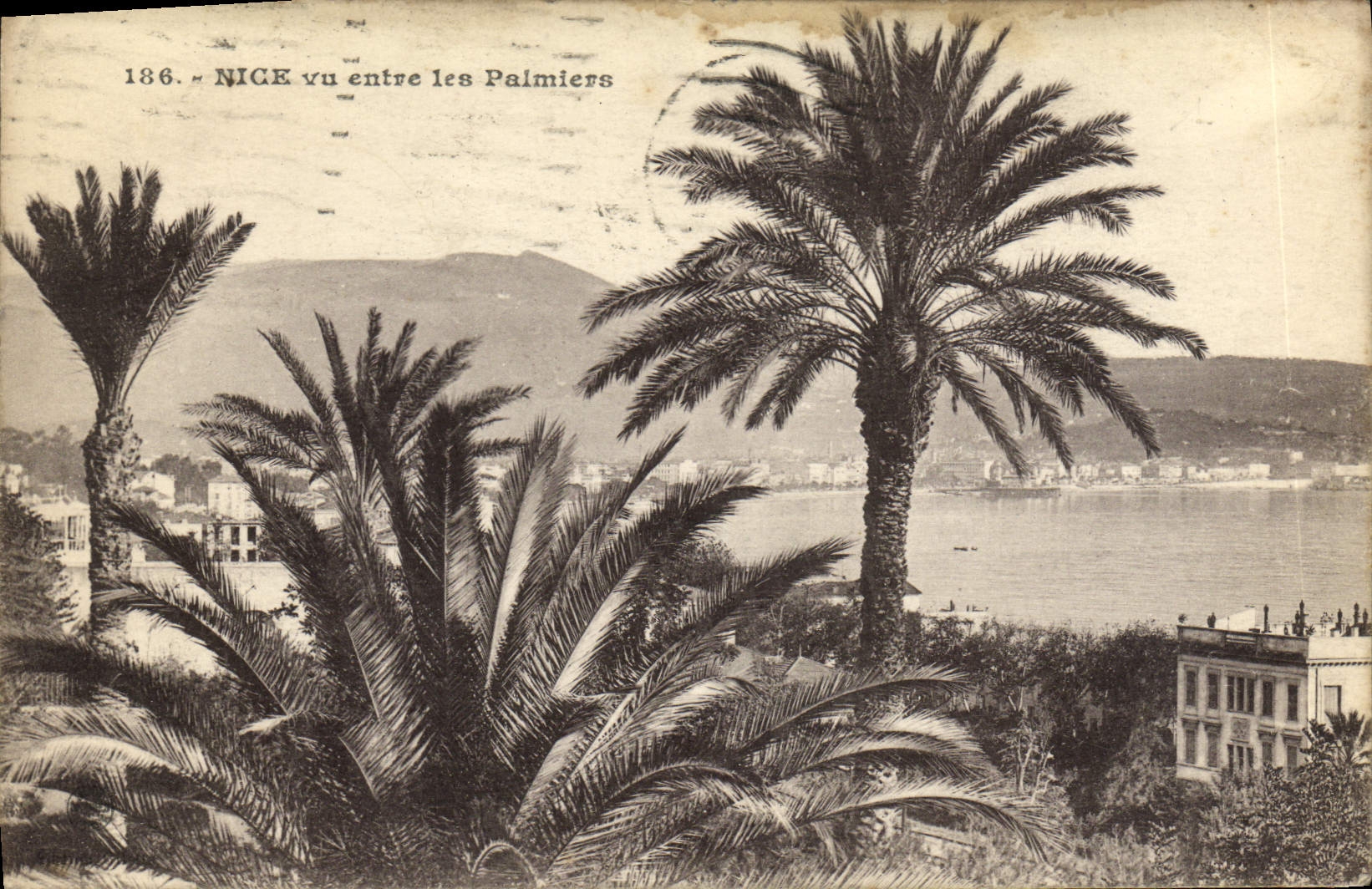 CPA Nice Vu entre les Palmiers 