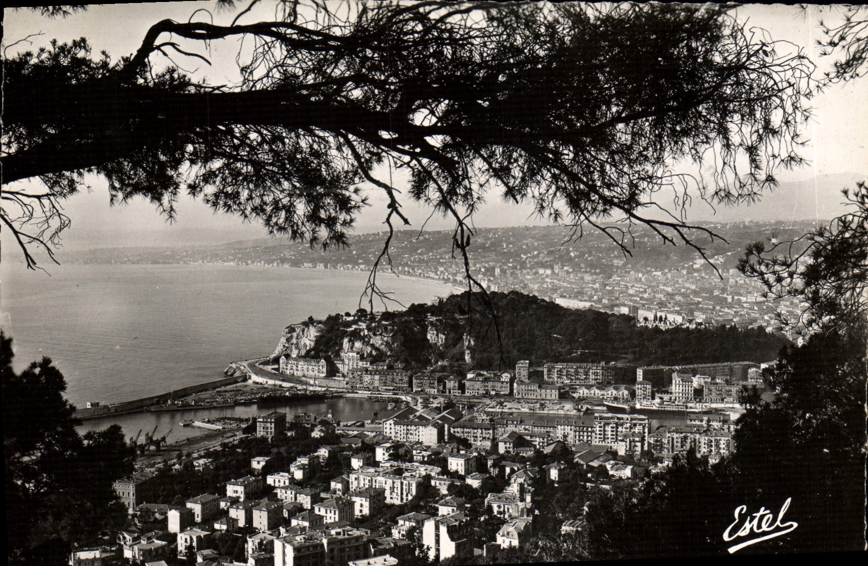 CPM Nice Vue Generale