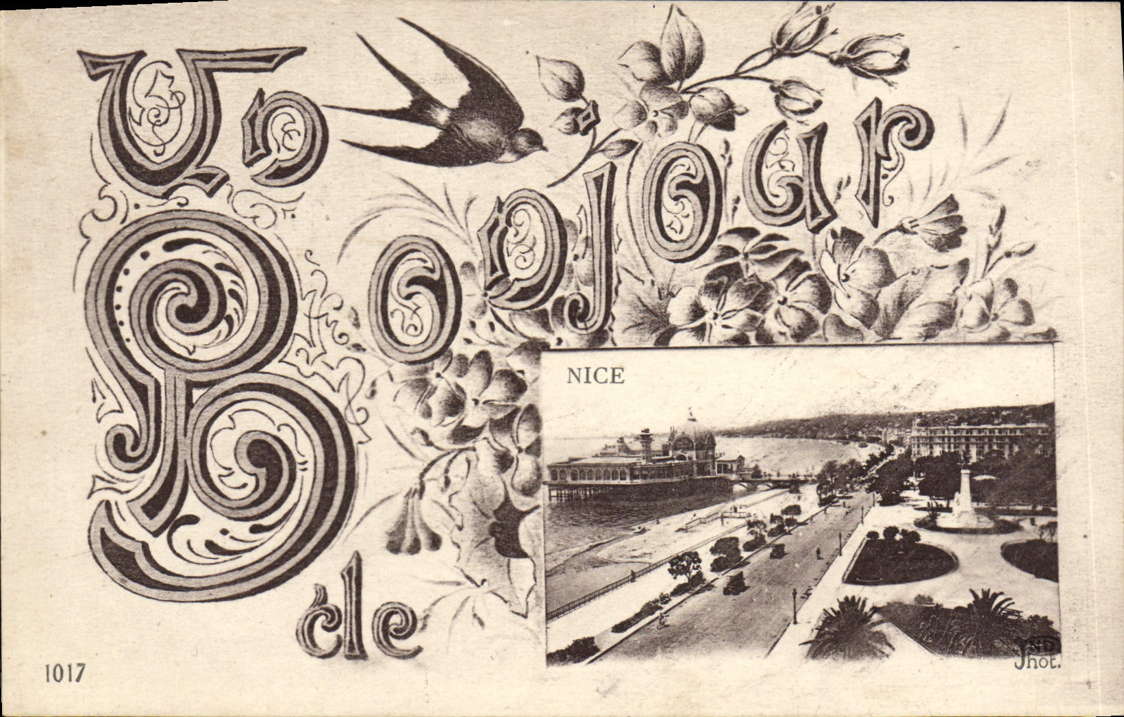 VINTAGE POSTCARD Considering Hello of Nice Swallow