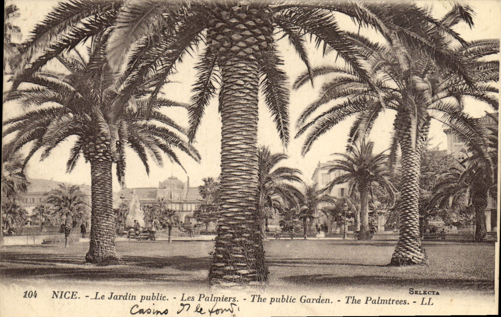 VINTAGE POSTCARD Nice the Public garden Palm trees