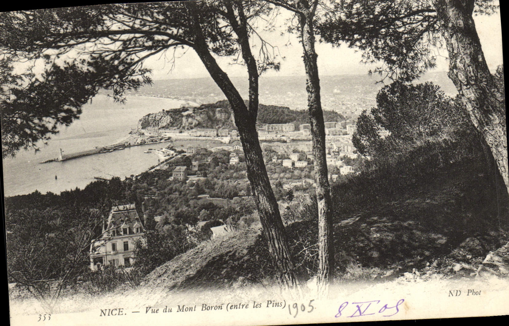 CPA Nice Vue du Mont Boron