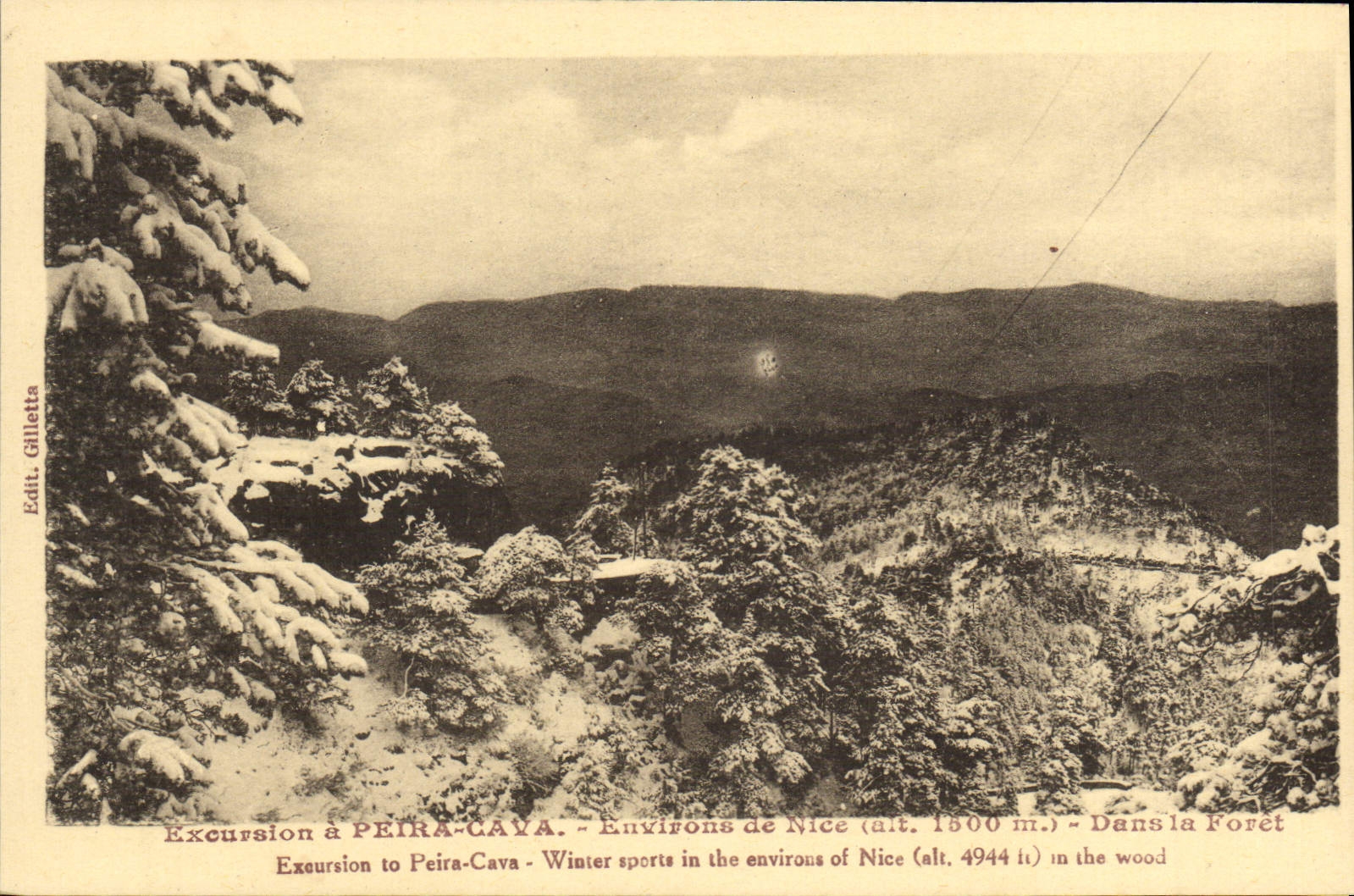 CPA Excursion a Peira Cava Environs de Nice Dans la foret