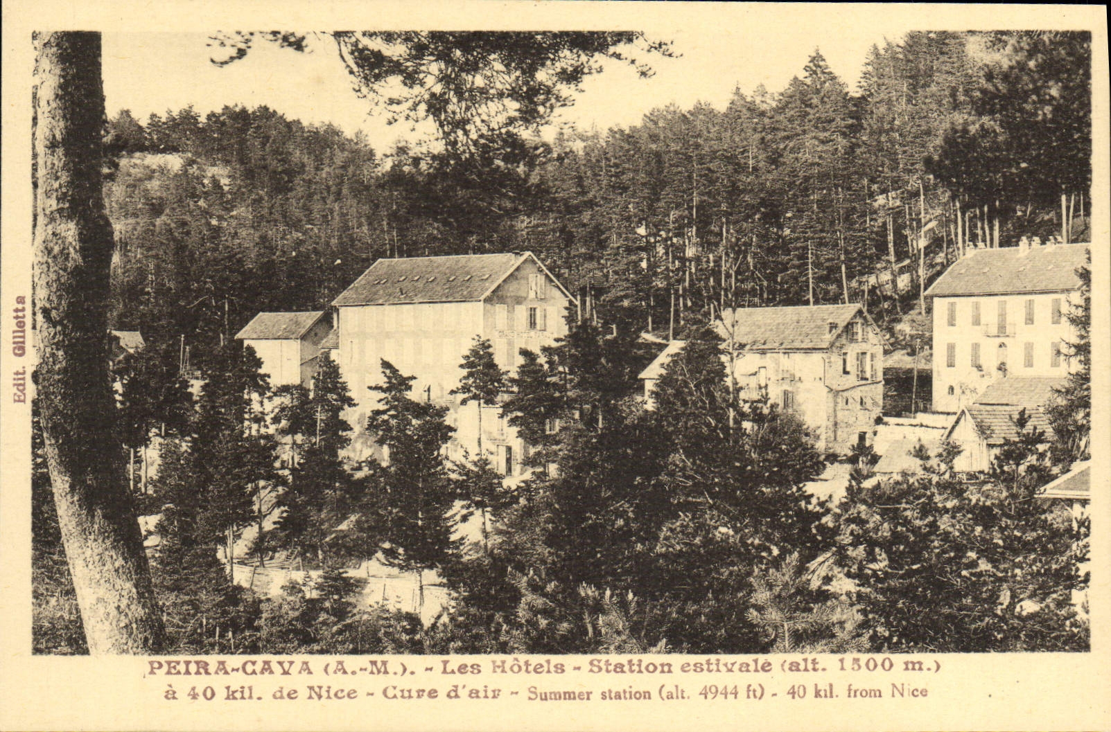 CPA Peira Cava Les Hotels Station estivale