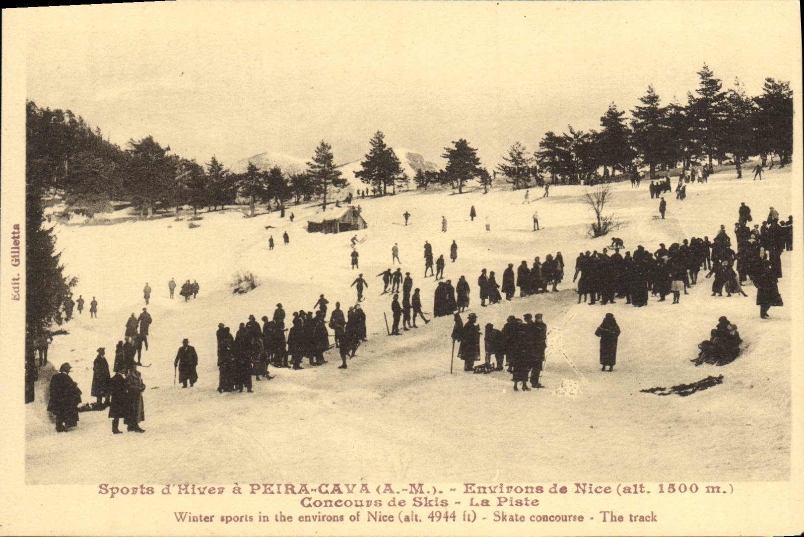Los deportes de invierno de la POSTAL de la VENDIMIA tienen alrededores hundidos de Peira Niza de Concours de esquís la pista