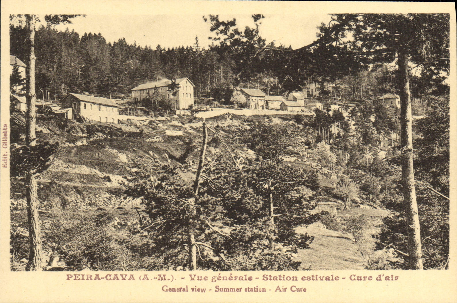 CPA Peira Cava Vue generale Station estivale Cure d'air