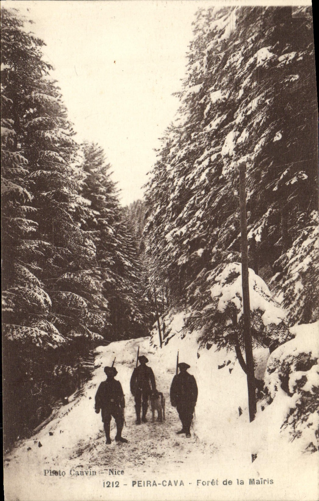 CPA Peira Cava Foret de la Mairis Chasseurs alpins Militaria