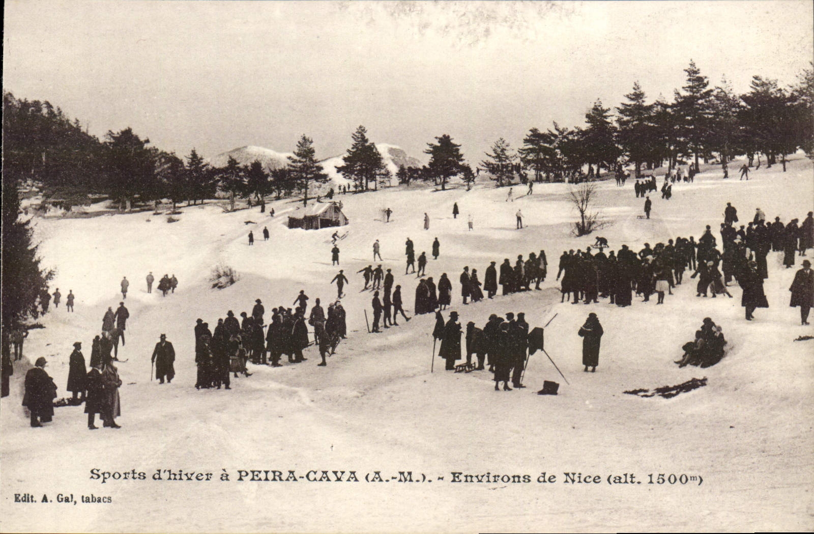 Los deportes de invierno de la POSTAL de la VENDIMIA tienen alrededores hundidos de Peira Niza de los deportes de invierno del esquí