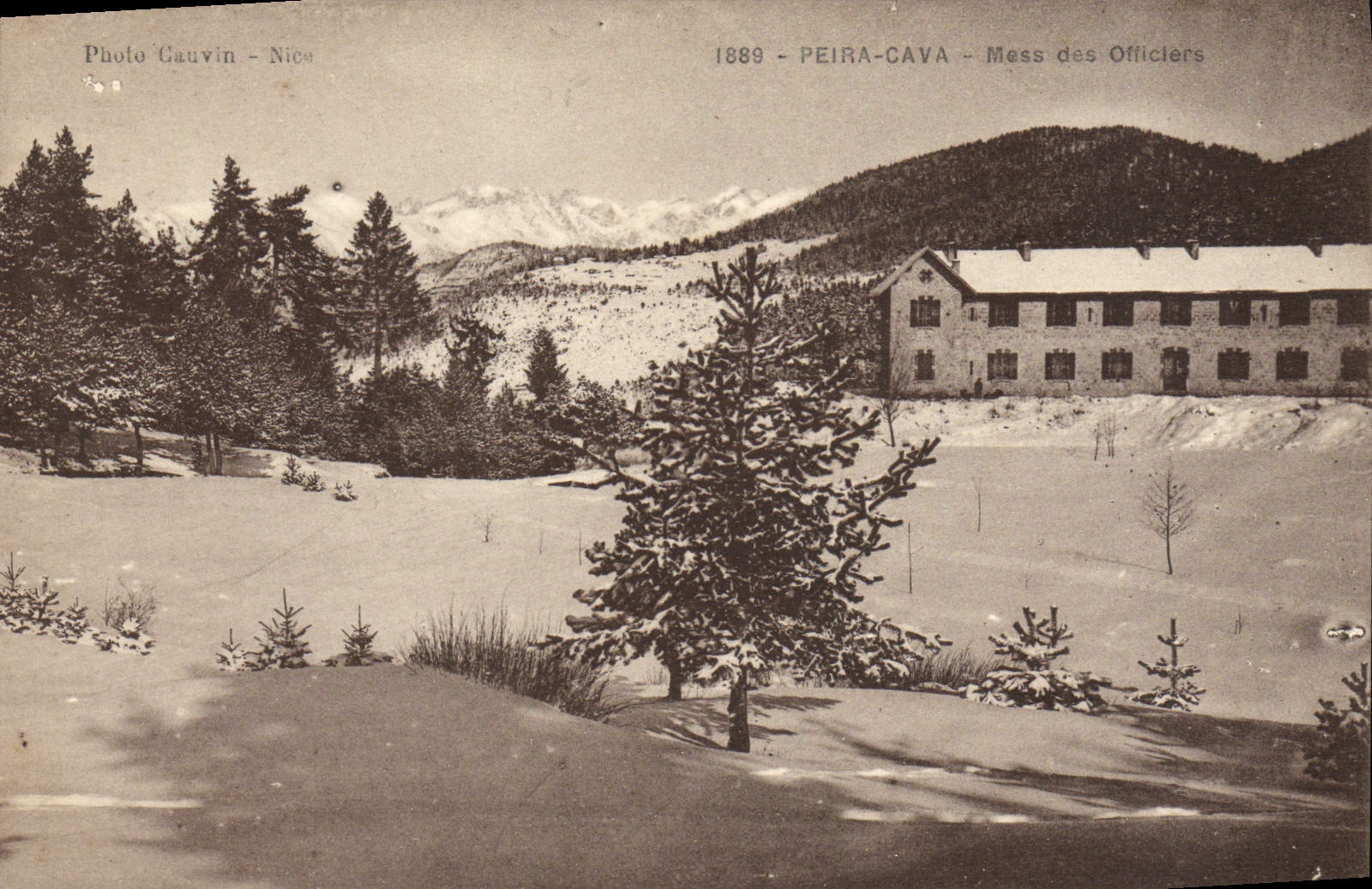 Lío minado Peira de la POSTAL de la VENDIMIA de los oficiales de Militaria