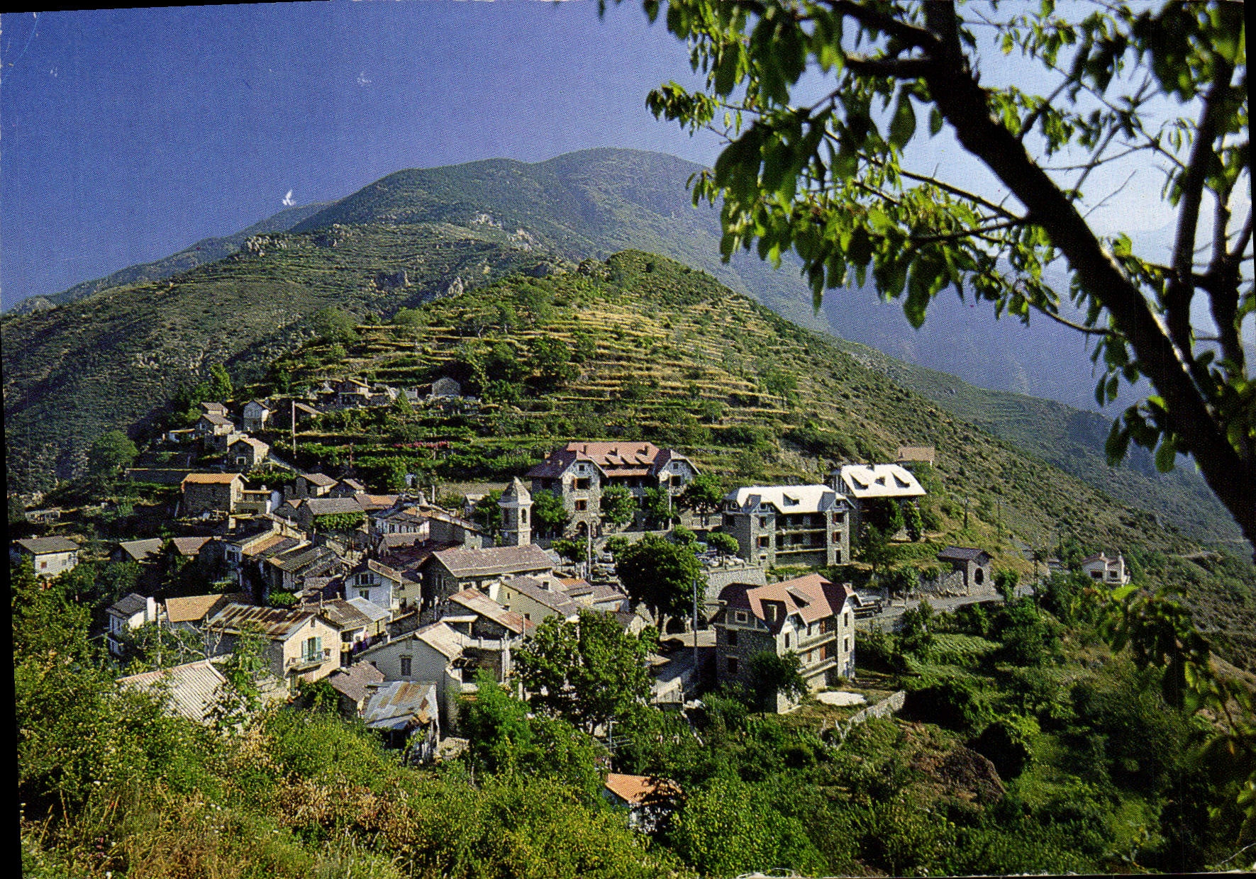 POSTAL MODERNA valle de la opinión de Rimplas del tinee y del Vla de Blore