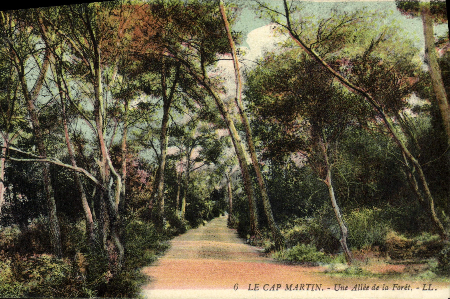 CPA Le Cap Martin Une Allee de la Foret 