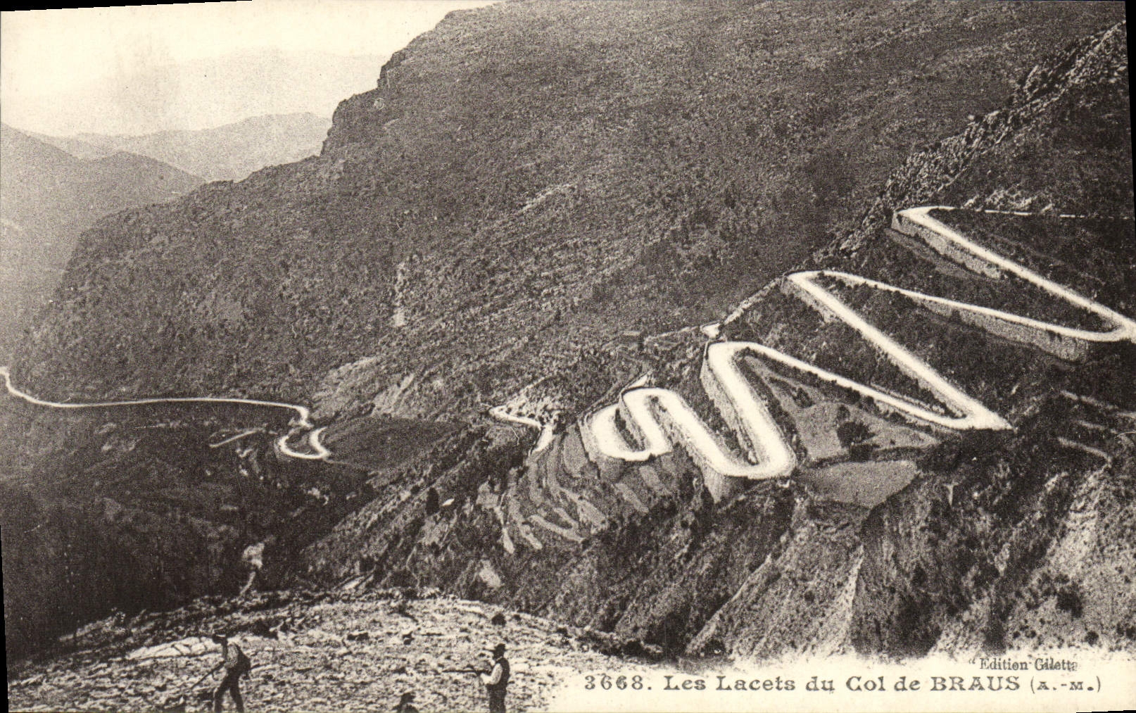 Cordones de la POSTAL de la VENDIMIA del collar de Braus