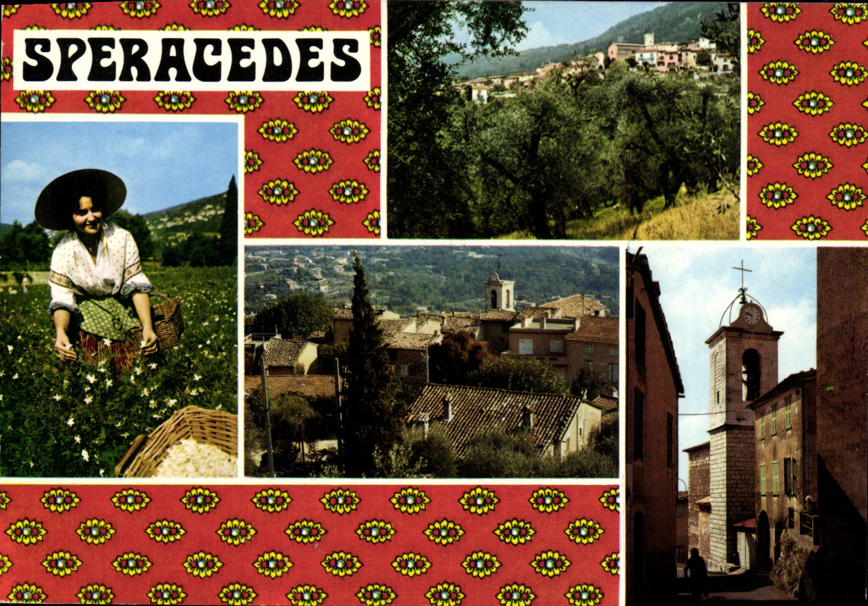 POSTAL MODERNA Speracedes