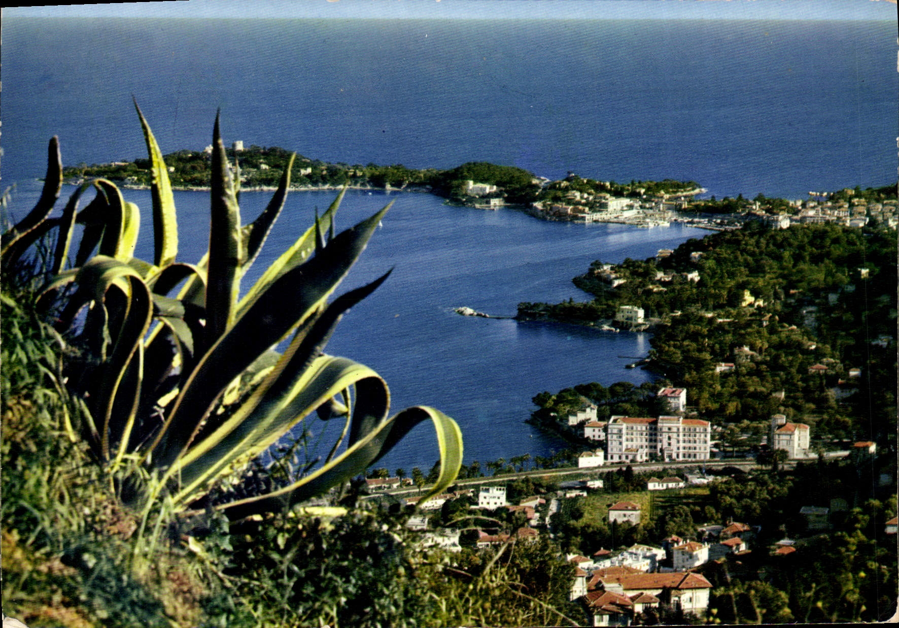 CPM Saint Jean Cap Ferrat Cote D'Azur