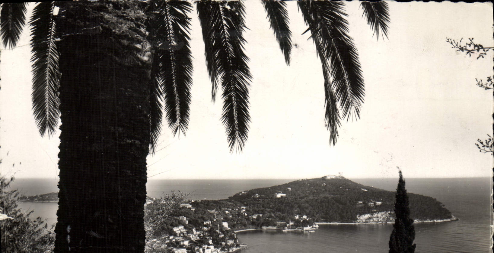 CPM Saint Jean Cap Ferrat