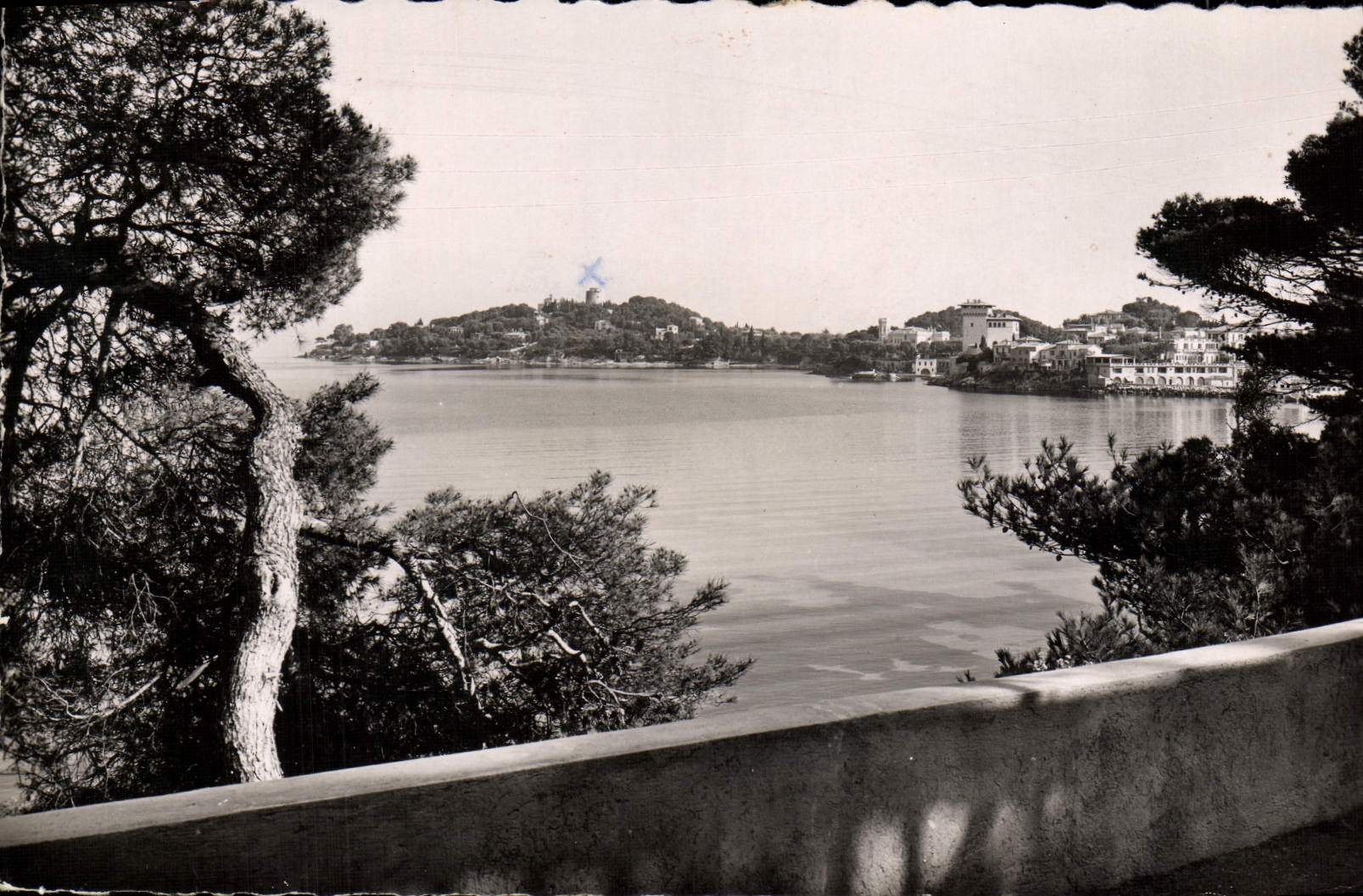 CPA Saint Jean Cap Ferrat Vue Sur le Port et la Pointe de Ste Hospice