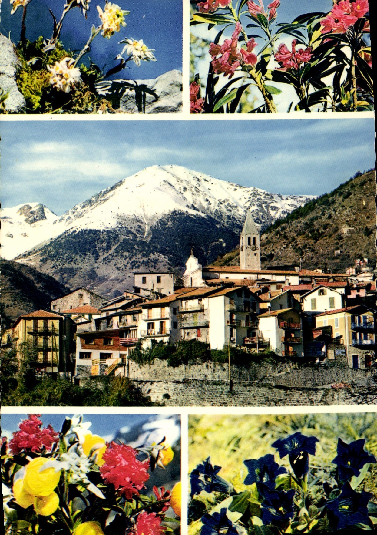 CPM Saint Martin Vesubie Vue Generale station estivale