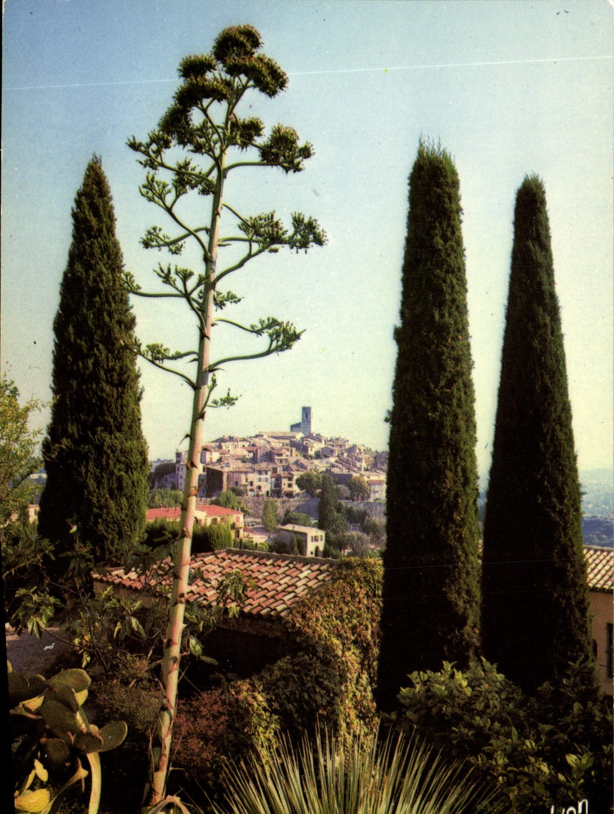 MODERN CARD Saint Paul View of the Village