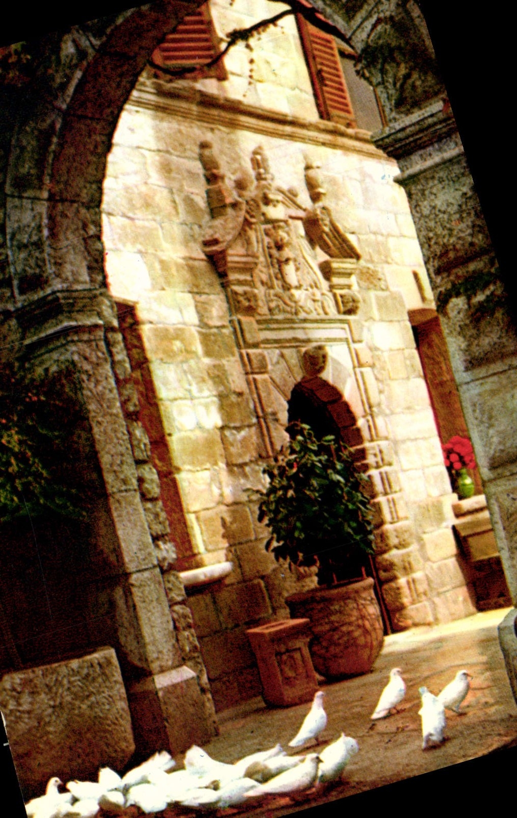 CPM Saint Paul Cote d'Azur Les colombes blanches