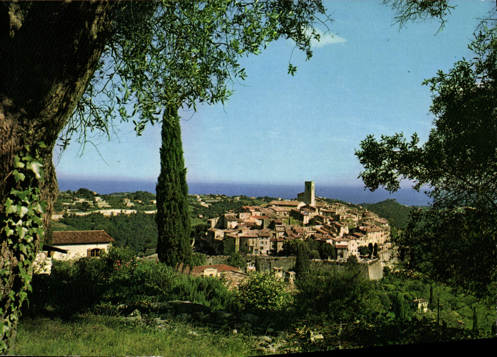 CPM Saint Paul Vue Sur la Ville Au Fond La mediterrannee