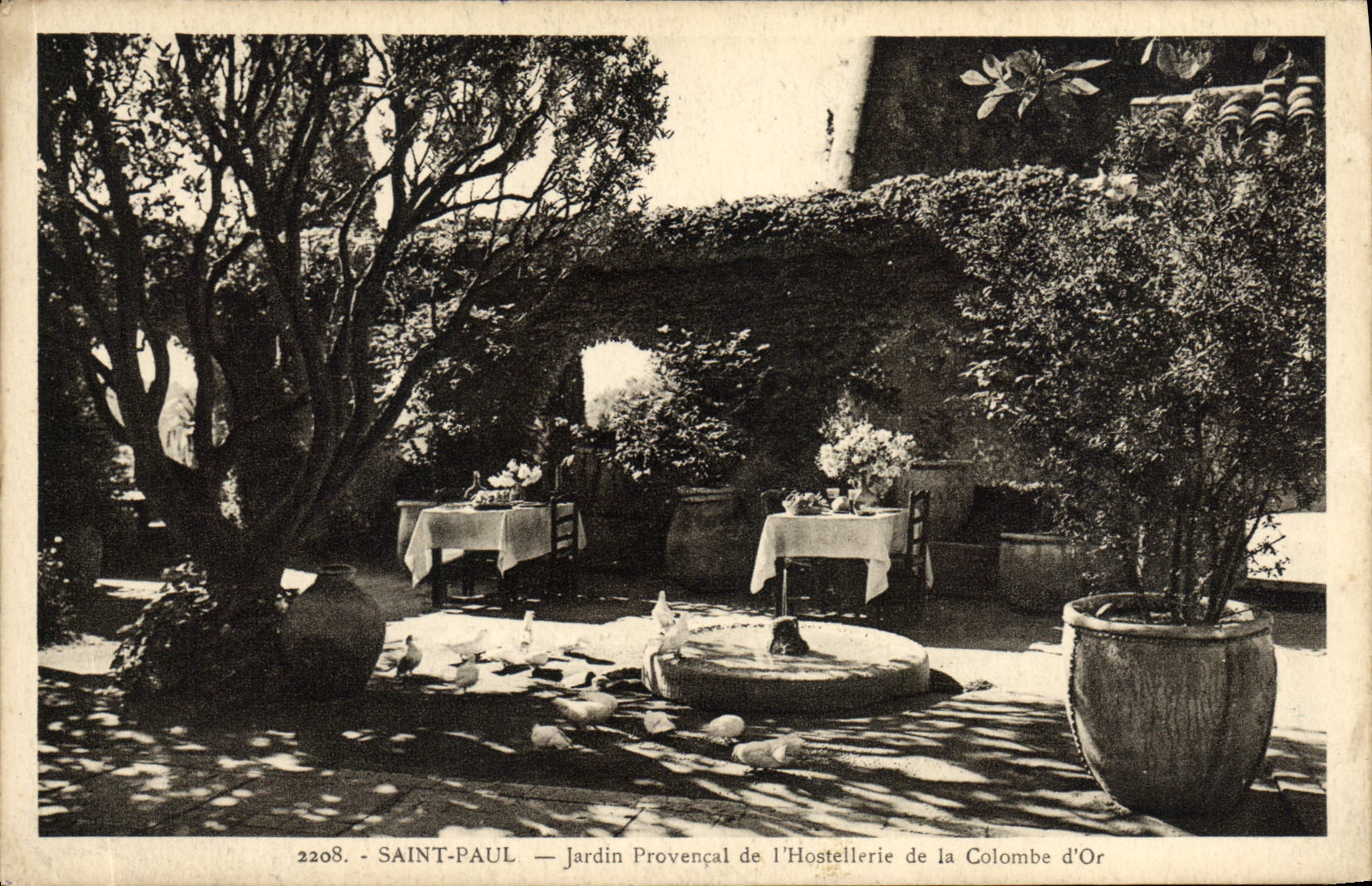 VINTAGE POSTCARD Saint Paul Garden Of Provence of the Fashionable country inn of the gold Dove