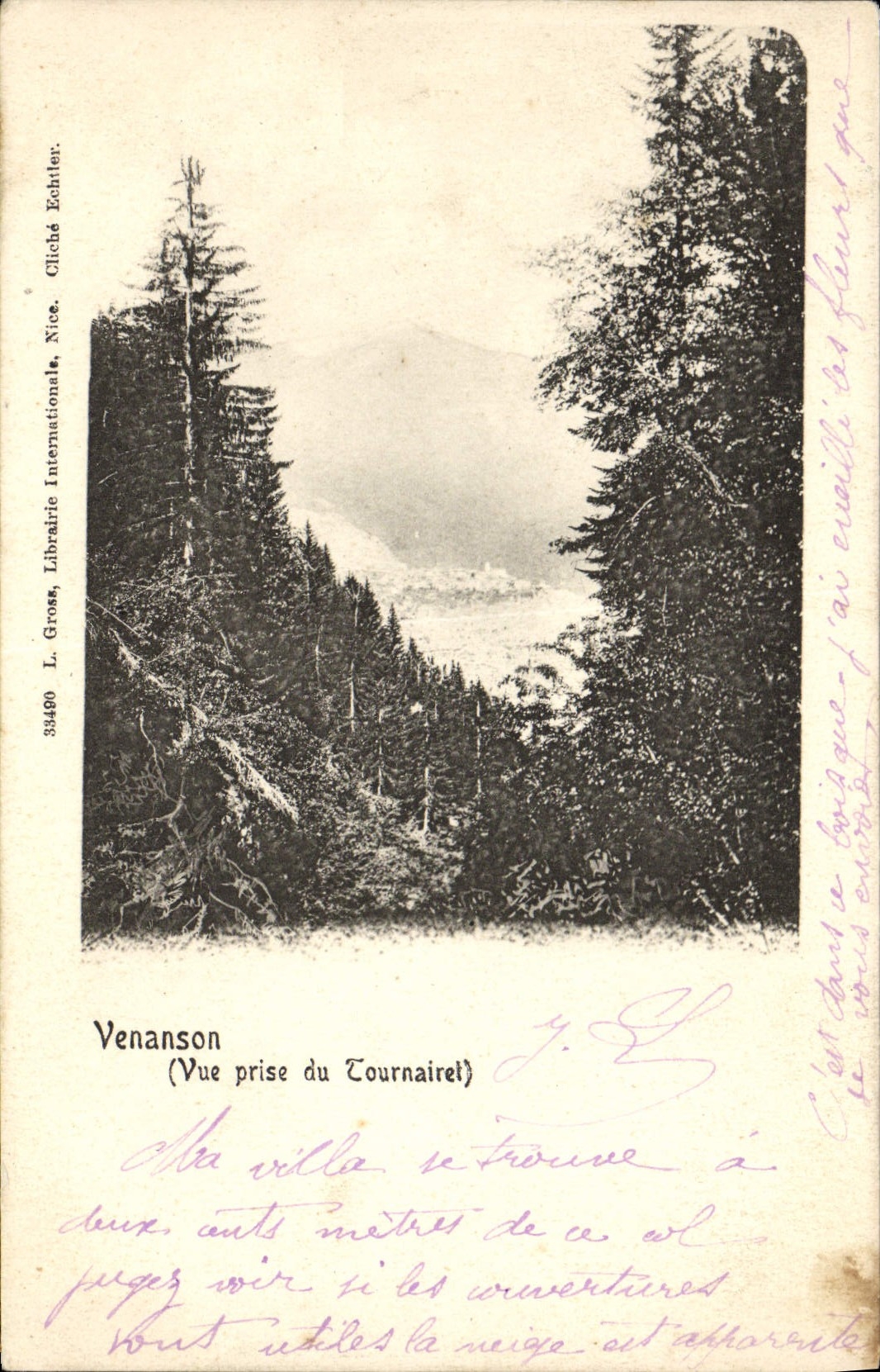 POSTAL Venanson de la VENDIMIA vista de Tournairet