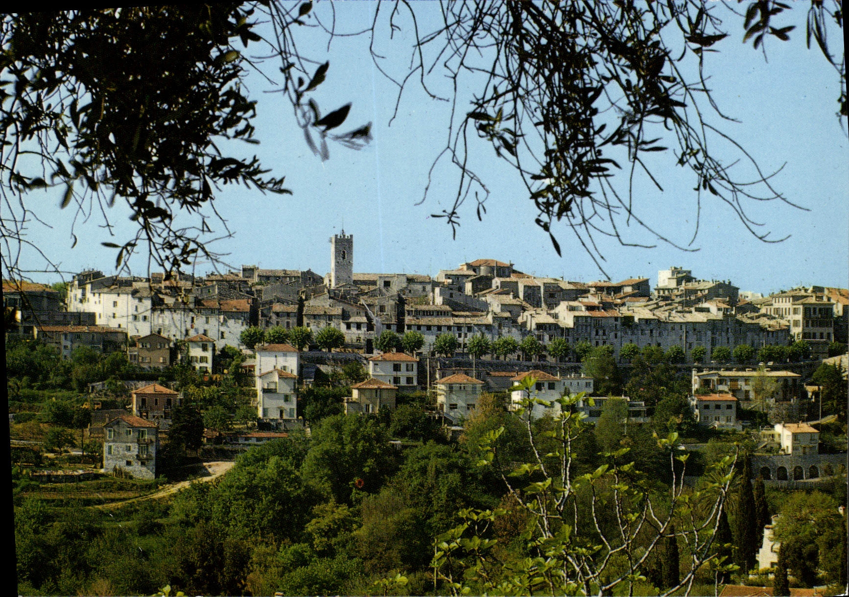 CPM Vence Vue Generale