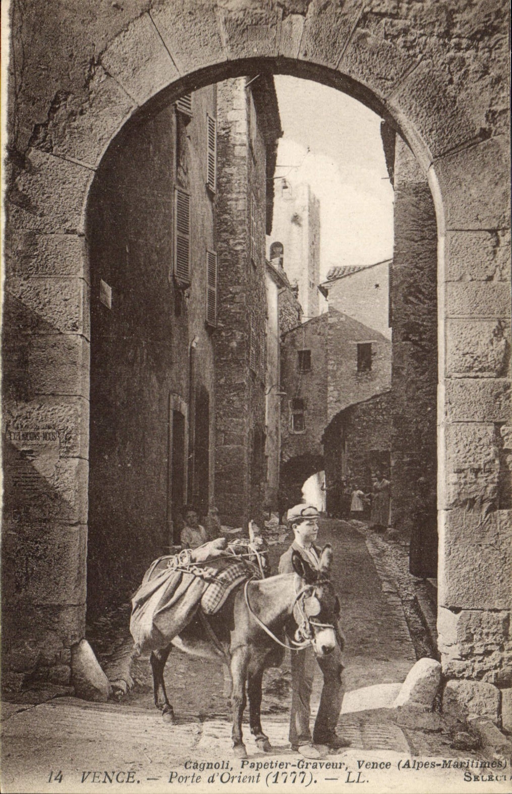 La POSTAL Vence de la VENDIMIA lleva el asno del este de la mula