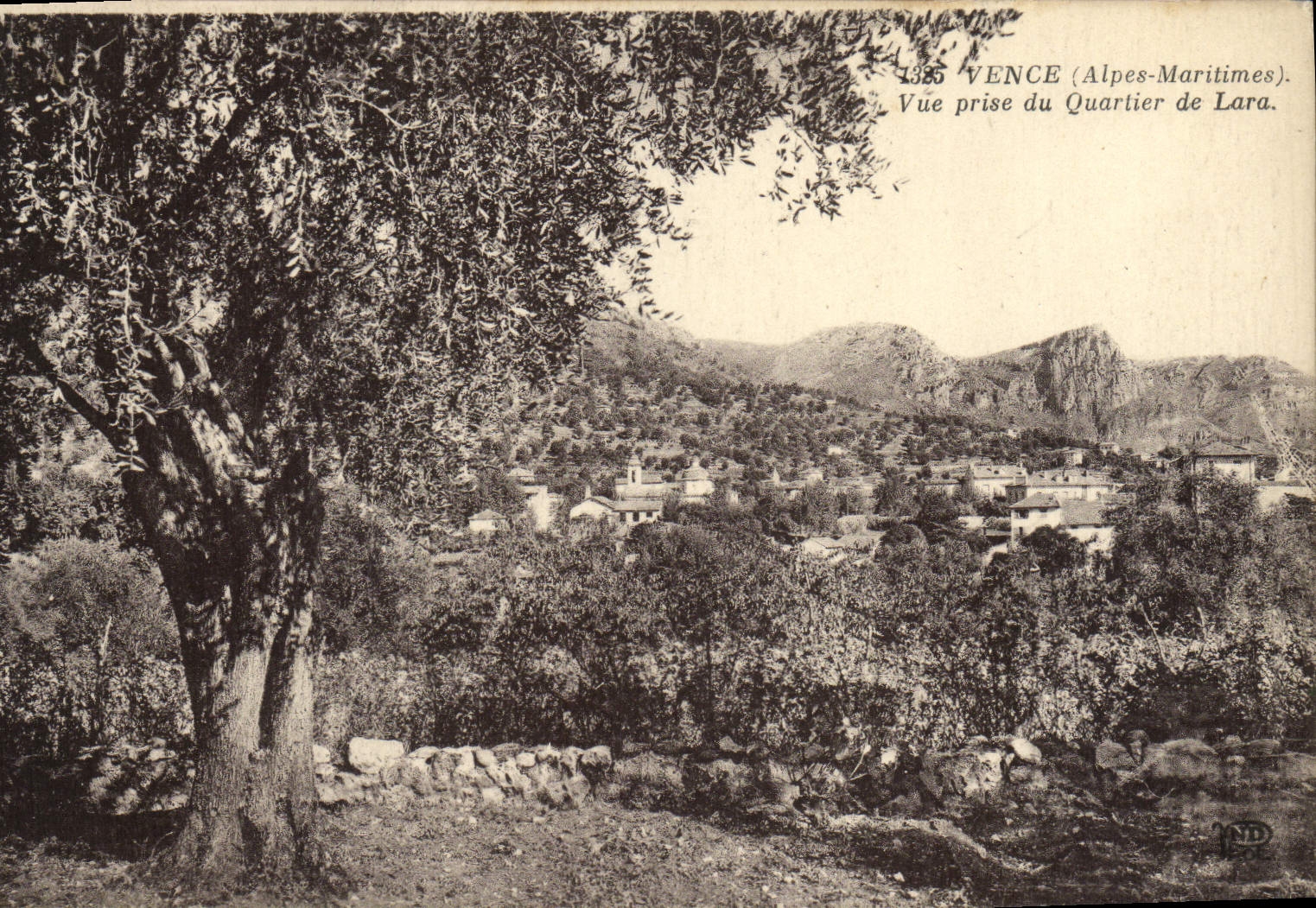 POSTAL Vence de la VENDIMIA vista del districto de Lara