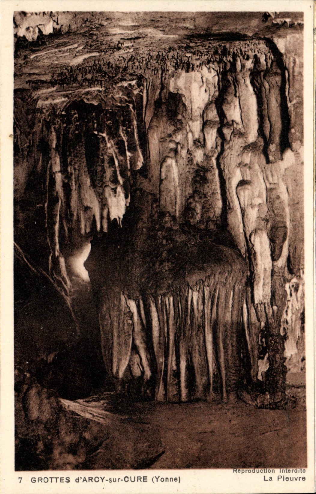 VINTAGE POSTCARD Arcy On Cury Caves the octopus