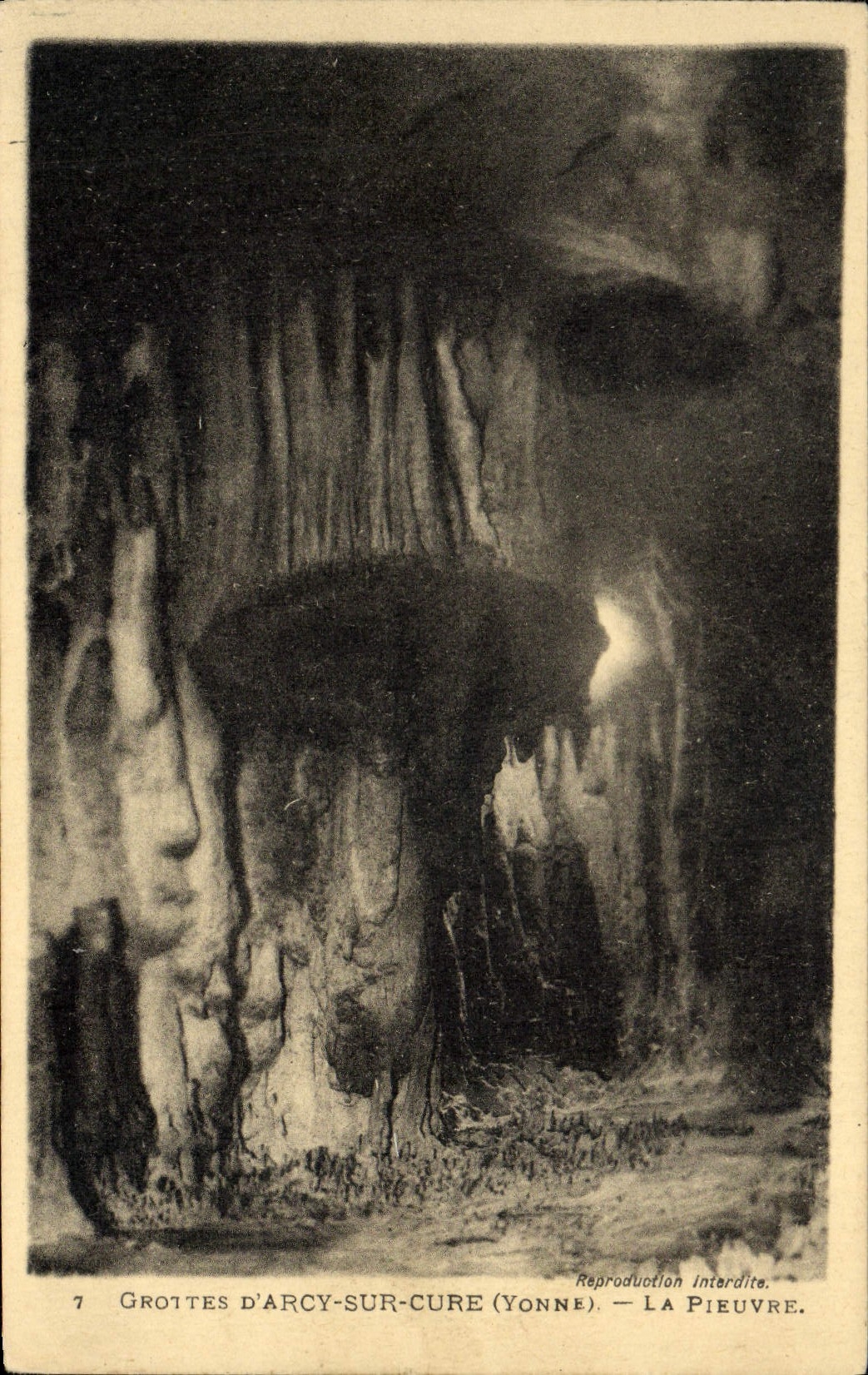 CPA Arcy Sur Cury Grottes La pieuvre