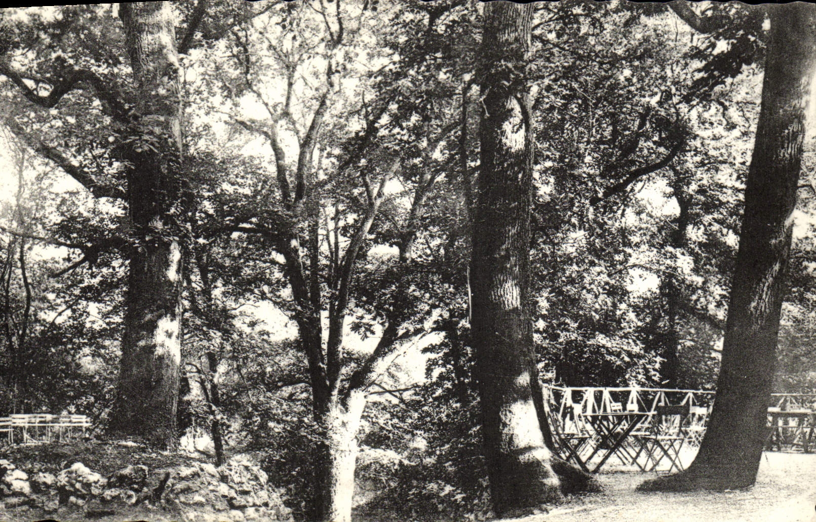 VINTAGE POSTCARD Arcy On Cury Terraces Seen of the Entry of the Caves
