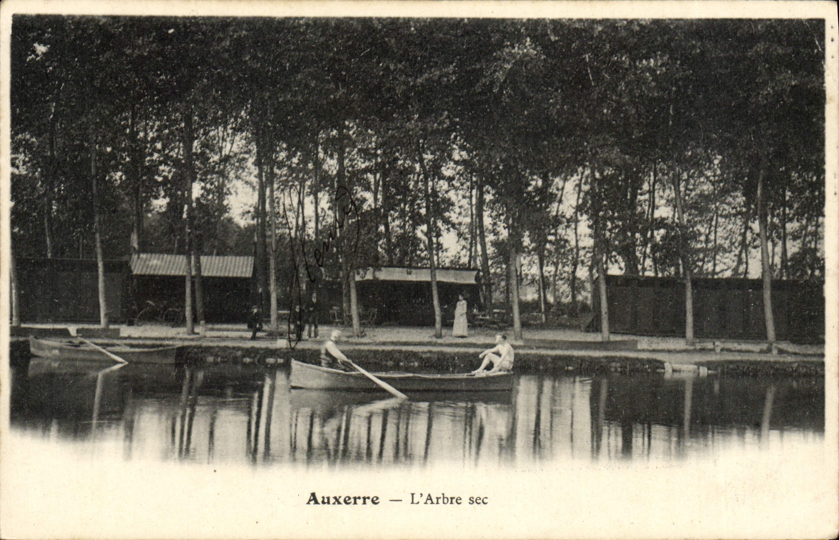 VINTAGE POSTCARD Auxerre the Dry Tree