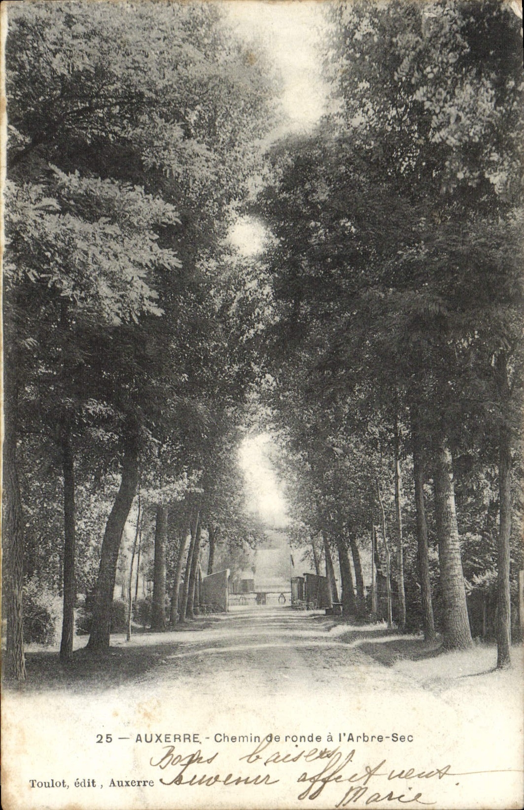 CPA Auxerre Chemin de Ronde a L'Arbre Sec
