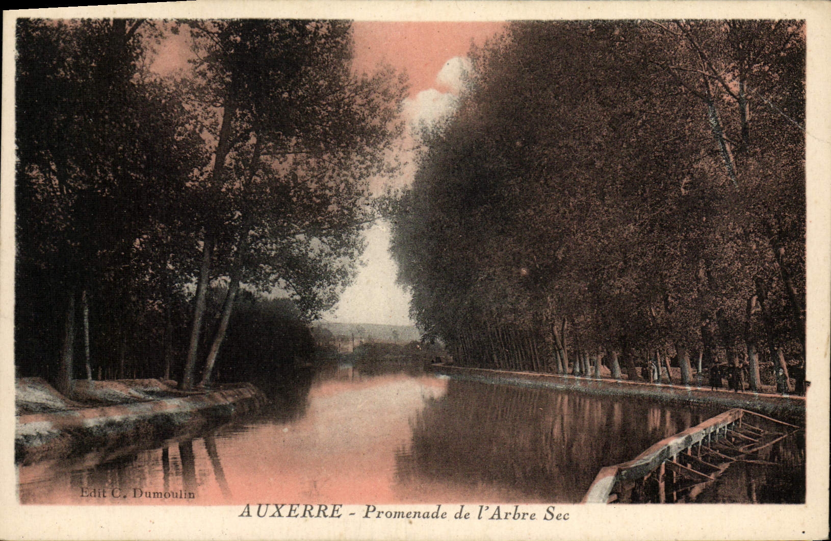 CPA Auxerre Promenade de L'Arbre Sec