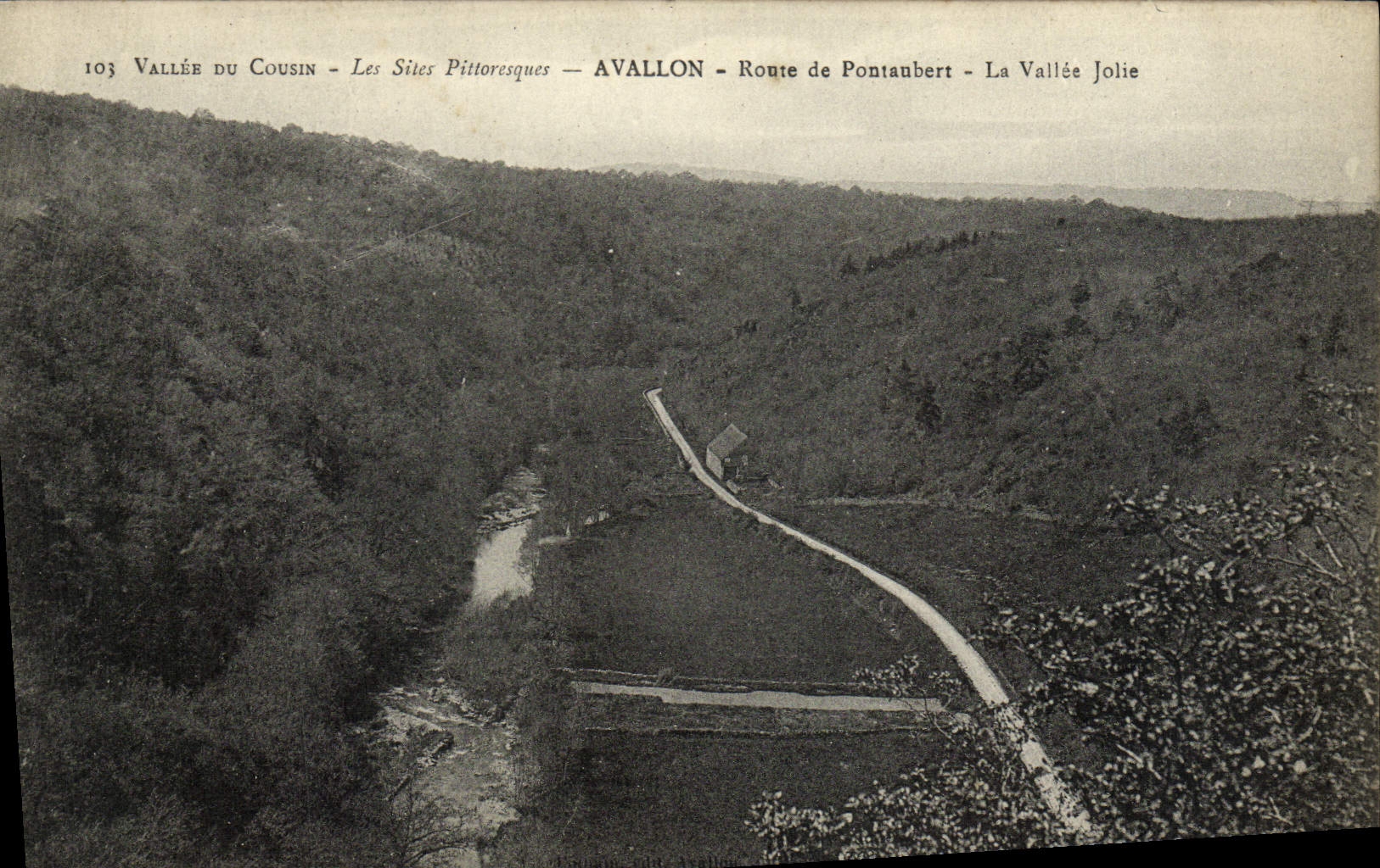 CPA Avallon Route De Pontaubert La Vallee Jolie Vallee du Cousin