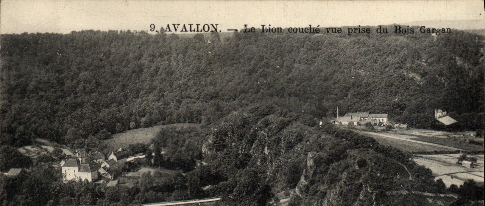 CPA Avallon Le Lion Couche Vue Prise Du Bois Gargan