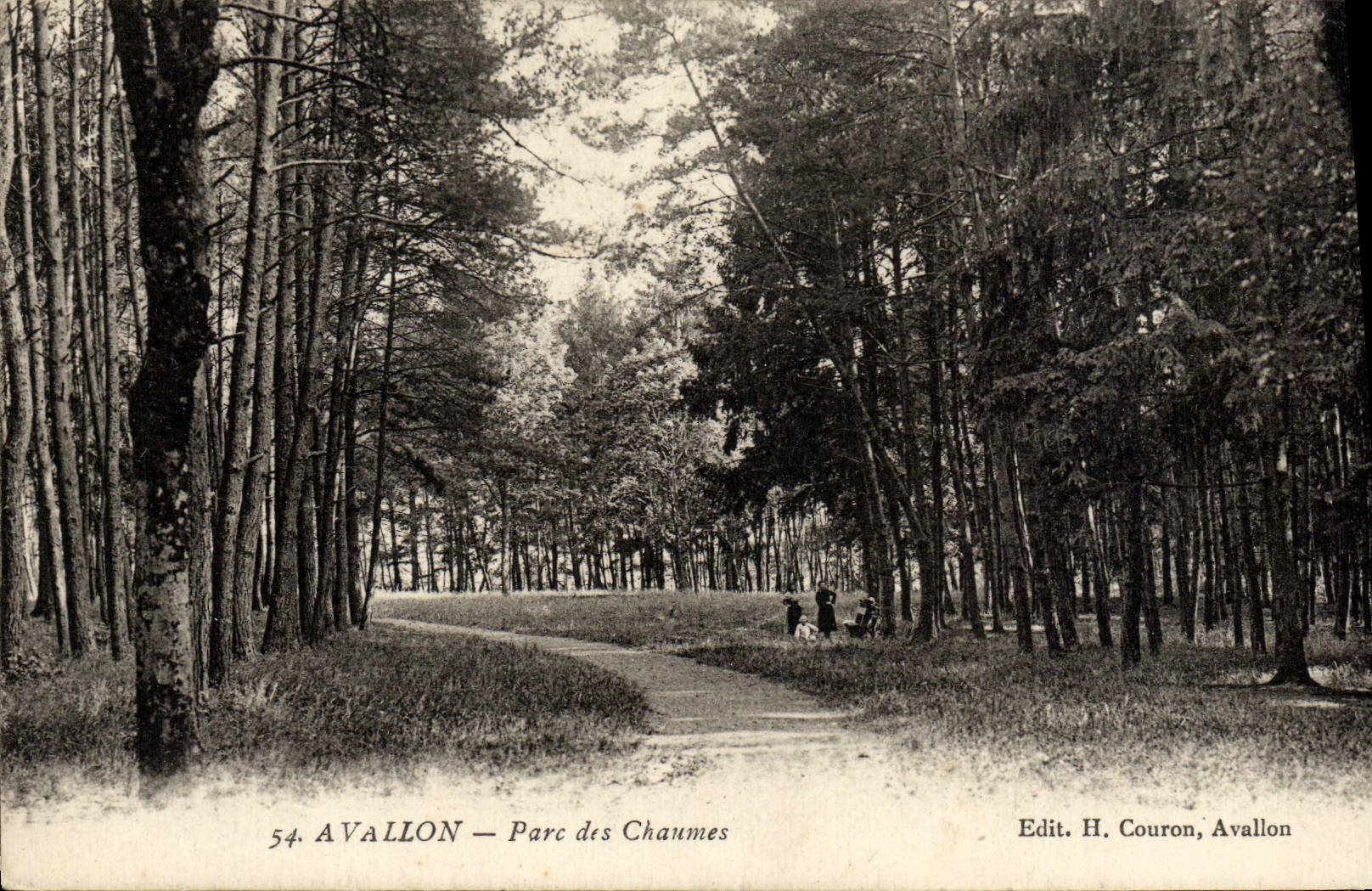 CPA Avallon Parc Des Chaumes