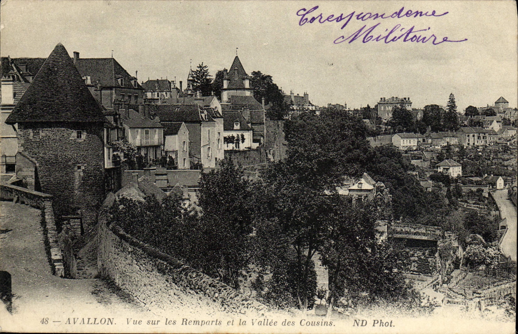 CPA Avallon Vue Sur Les Remparts Et La Vallee Des Cousins
